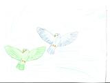 Альбом Конкурса «Крылья, лапы и хвосты» - Изображение 8