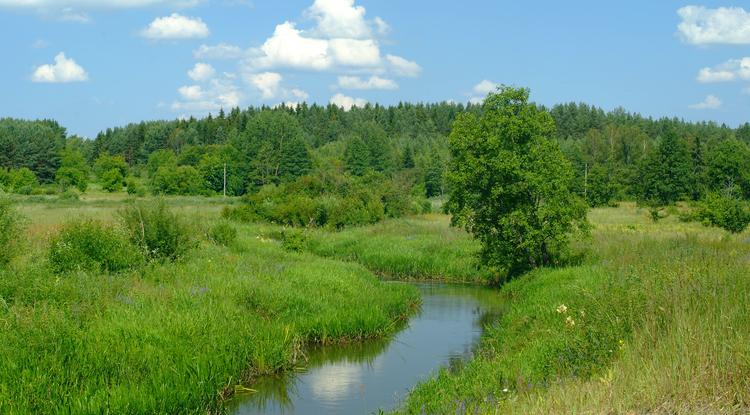 Летнее путешествие по реке