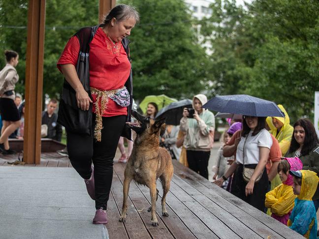 В парке Победы Белгорода прошёл первый фестиваль «Моё собачье дело»