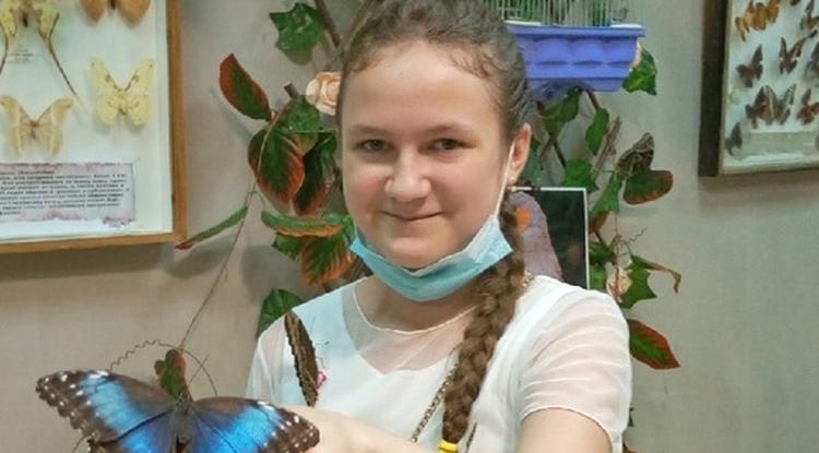 Бабочки, богомолы, тараканы… Бабочки, богомолы, тараканы…