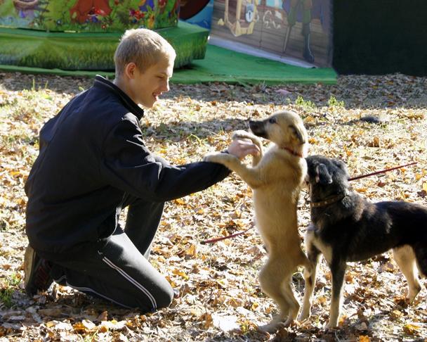 Семь счастливчиков