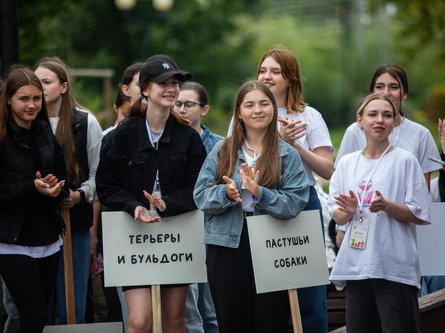 В парке Победы Белгорода прошёл первый фестиваль «Моё собачье дело»