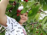 Отличное лето! - Изображение 7