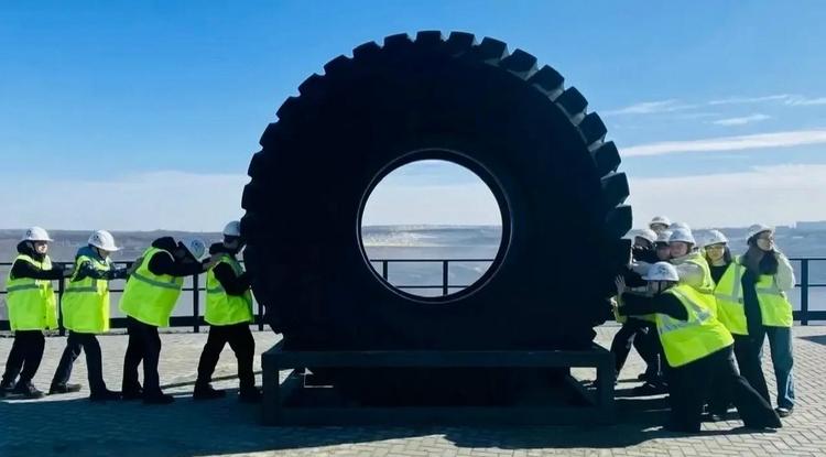 Школьники Белгородской области прошли практические пробы в рамках «Профессионалитета»