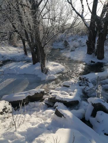 Красота зимнего леса