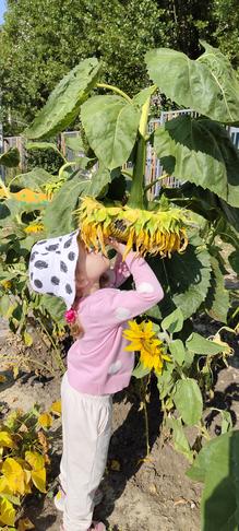 Лета много не бывает