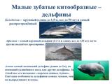 Международный день Чёрного моря - Изображение 13