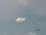 Карта, паровоз, дельфин - Изображение 9