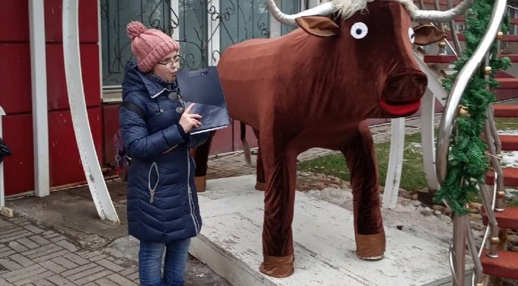 Прогулки по новогодней Крейде