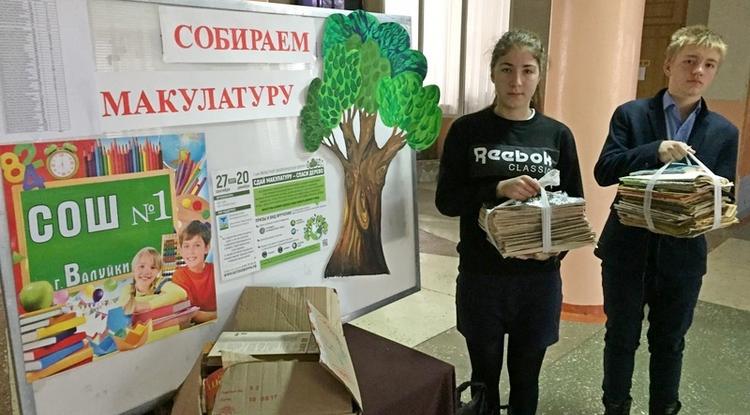 Валуйская школа № 1 стала победителем областной акции «Сдай макулатуру - спаси дерево»