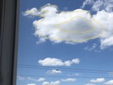 Нетипично большая колибри и любопытный петушок - Изображение 12