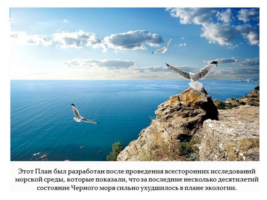 Международный день Чёрного моря - Изображение 3