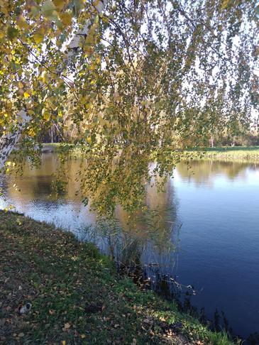 Край родной
