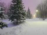 Зима в объективе - Изображение 7