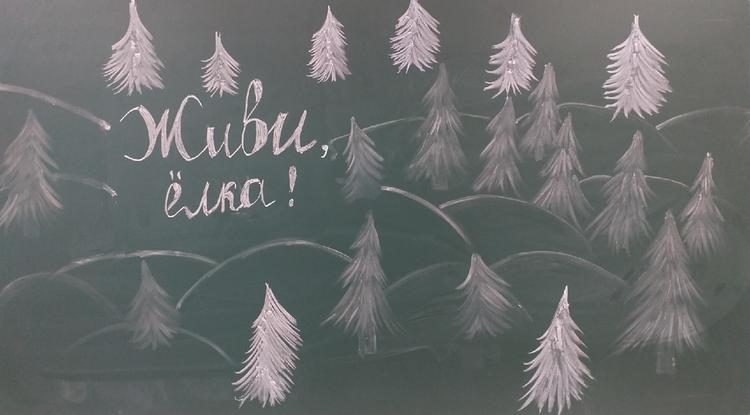 «Живи, ёлка!» «Живи, ёлка!»