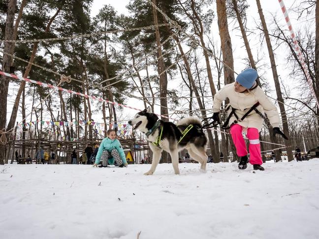 В Белгороде прошёл семейный забег «Хаски-Trail»