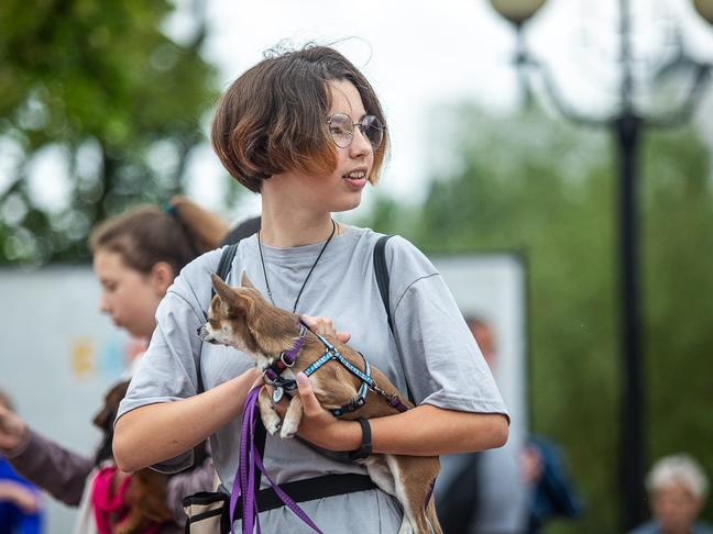В парке Победы Белгорода прошёл первый фестиваль «Моё собачье дело»