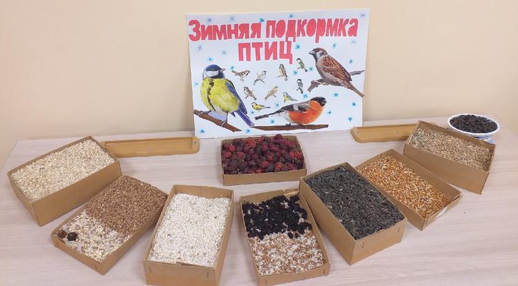 Угощения для пернатых Угощения для пернатых