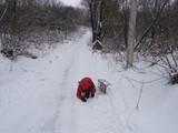 Зима в объективе - Изображение 2