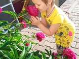 Летние моменты - Изображение 2