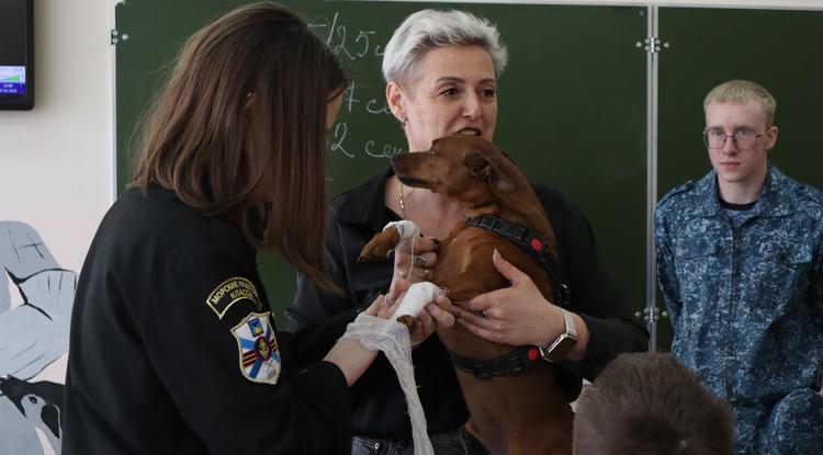 Кинологи на один день: в регионе продолжаются профориентационные мероприятия