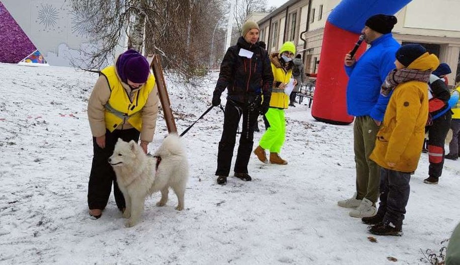 Фото: Маргарита Грачёва Хаски-trail впервые прошёл в Белгороде - Изображение 15