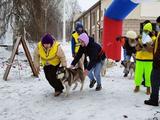 Хаски-trail впервые прошёл в Белгороде - Изображение 6