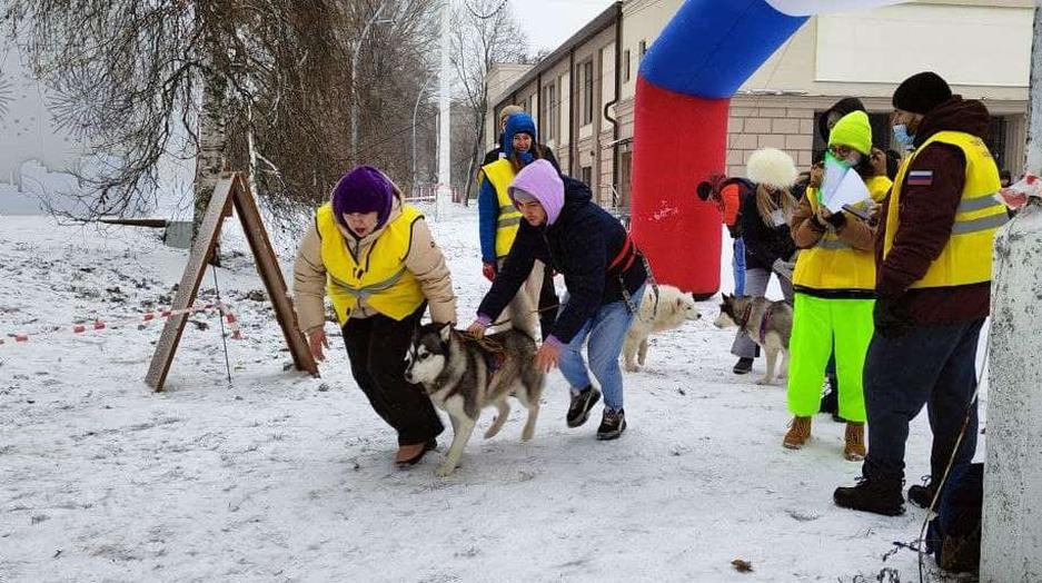 Фото: Маргарита Грачёва Хаски-trail впервые прошёл в Белгороде - Изображение 6