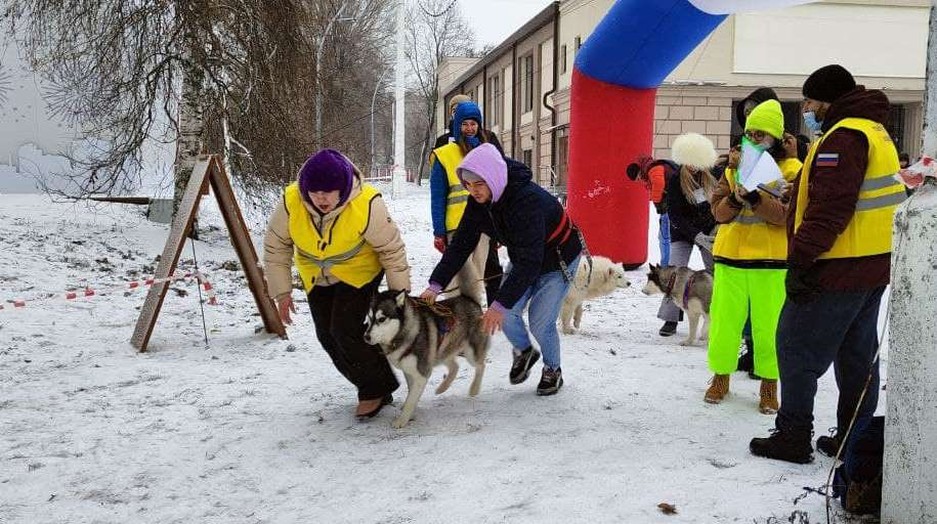 Фото: Маргарита Грачёва Хаски-trail впервые прошёл в Белгороде - Изображение 6