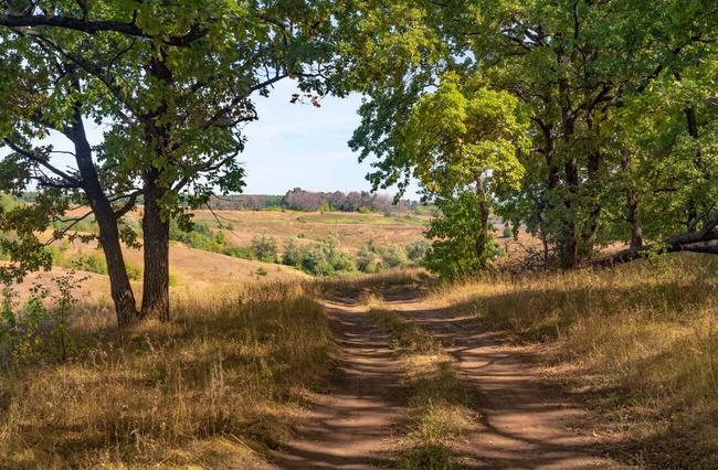В день фотографии природы делимся лучшими фотографиями конкурса «Юность России»