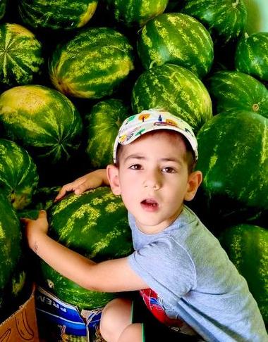 Портреты в лучах солнца