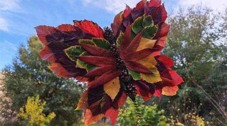 Осенняя бабочка