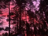 Летние воспоминания на фото - Изображение 17