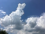 Лесные животные в облаках - Изображение 1