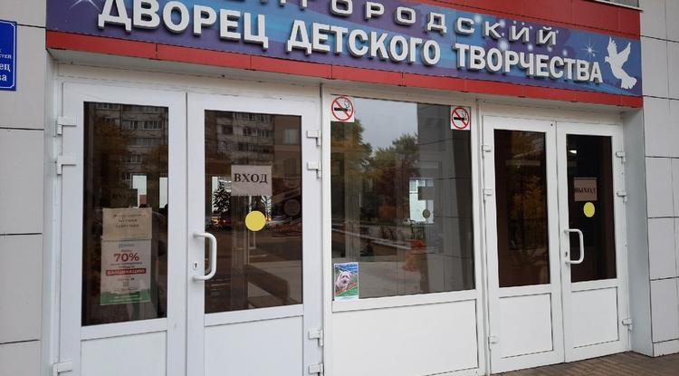 «Зелёная карта»: почему это не только про цвет «Зелёная карта»: почему это не только про цвет
