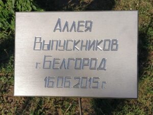 В Белгороде одиннадцатиклассники посадили клён на «Аллее выпускников»
