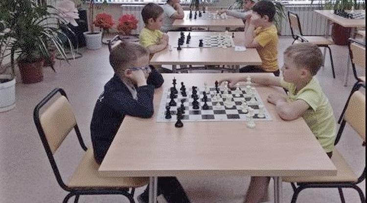Шахматы в новооскольских детсадах