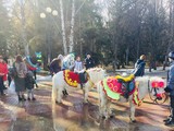 Масленичные гуляния в Белгороде - Изображение 10