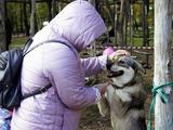 Семь счастливчиков - Изображение 9