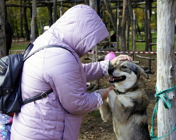 Семь счастливчиков