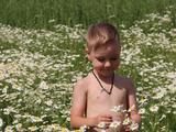 Летний портрет - Изображение 22