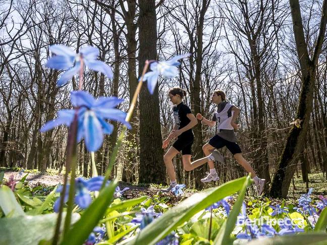 Около 100 юных спортсменов приняли участие в кроссе на призы газеты «Родина» в Ивне
