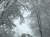 Зима в объективе - Изображение 9