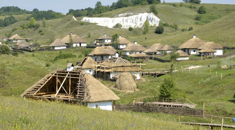 Как белгородские лошади снимались в кино