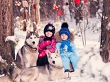 Зима в объективе - Изображение 1