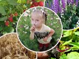 Летние мгновения - Изображение 9