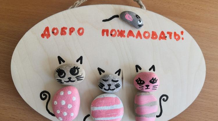 Котики на камнях