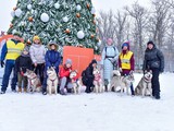 Хаски-trail впервые прошёл в Белгороде - Изображение 8