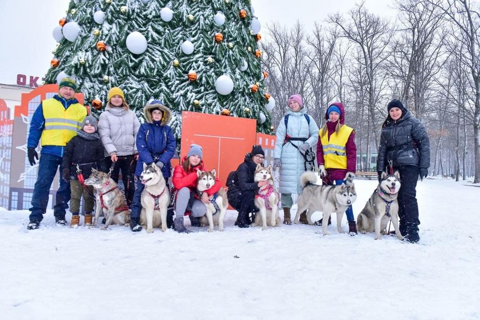 Фото: администрация г. Белгорода Хаски-trail впервые прошёл в Белгороде - Изображение 8