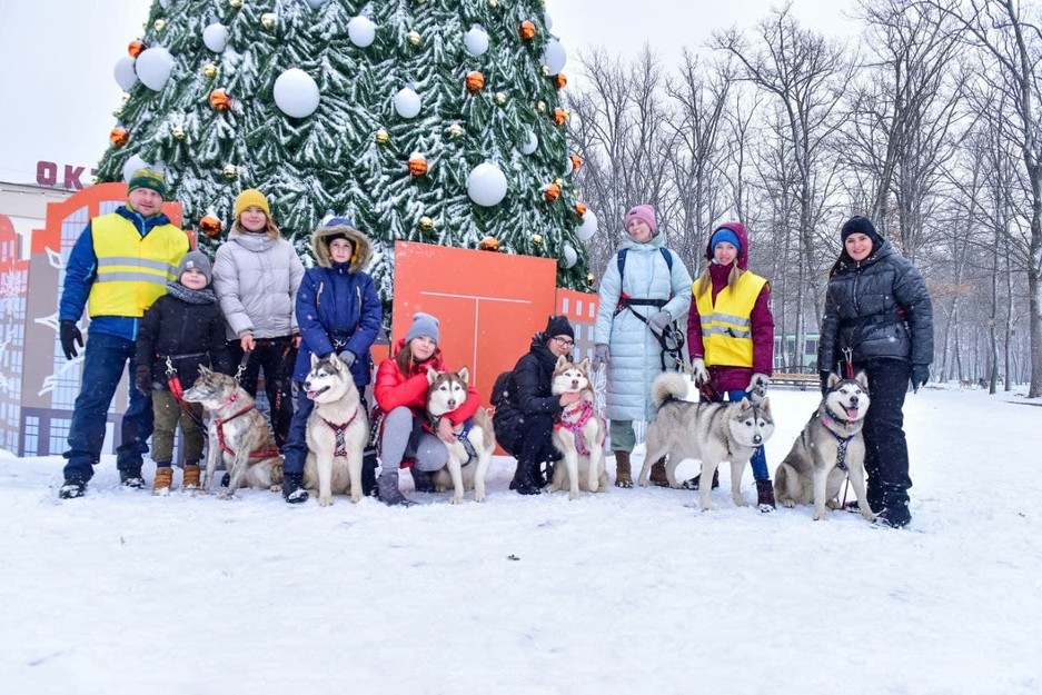 Фото: администрация г. Белгорода Хаски-trail впервые прошёл в Белгороде - Изображение 8